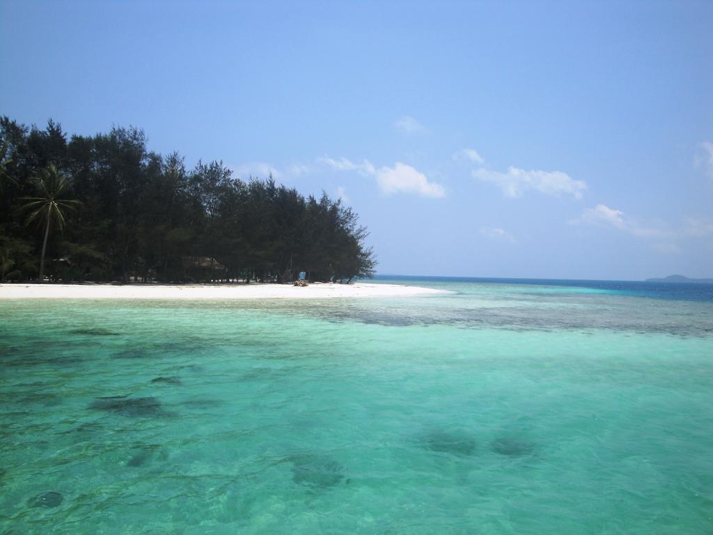 Menjangan Resort Каримунджава Номер фото
